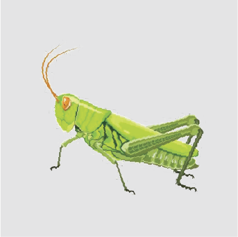 Grasshoppers