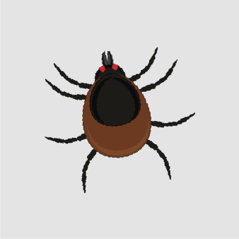 Mites
