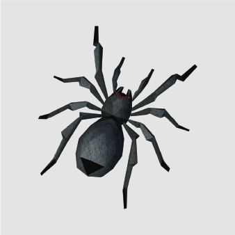 SPIDER