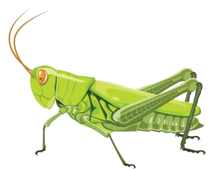 kindpng_7190927