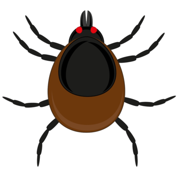 pngtree-mite-bugs-vector-illustration-isolated-on-white-background-png-image_4835308